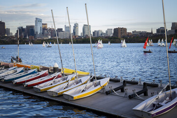 Wall Mural - Docked sailing boats on a Charles River with view of Boston skyscrapers