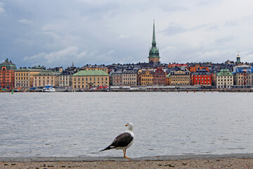 Wall Mural - Beautiful shot of the cityscape view of Stockholm