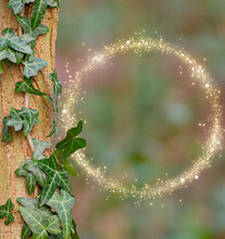 Beautiful View Of Common Ivy Plant On A Wooden Pole With A Blurred Light Circle