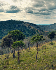 Wall Mural - natural landscape with trees, mountains and clouds