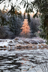 Sticker - Vertical shot of a frozen river in the background of the trees.