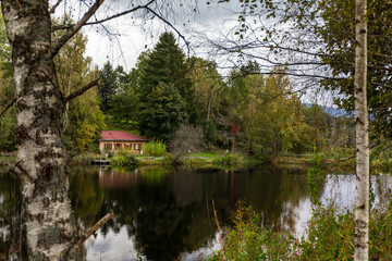 Sticker - Beautiful view of a lake in a forest