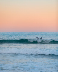 Poster - Vertical of person surfing on the ocean waves at pink sunset in Spain