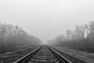 Sticker - Grayscale shot of railroads