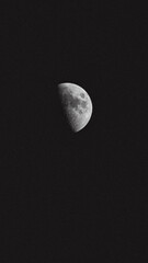 Wall Mural - Beautiful shot of a half Moon in the dark night sky