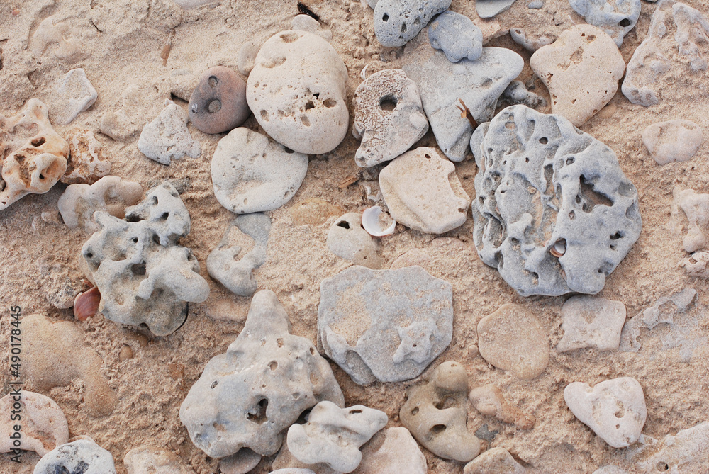 Stones with holes on a beach in Israel, mediterrean sea costline, rocks ...