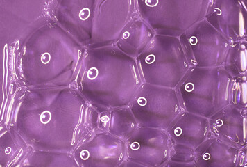 Wall Mural - Closeup of purple bubbles in the water