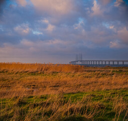 Wall Mural - Oresund bridge in the sunset