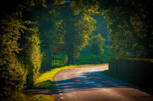 Sunlit Country Road Turning