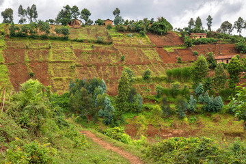 Wall Mural - Rwanda, land of a thousand hills