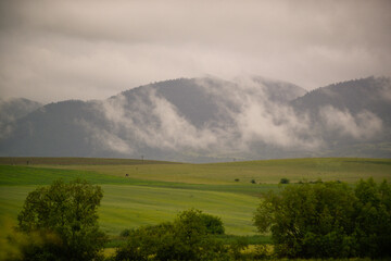 Sticker - Beautiful view of a green field among hills in the fog