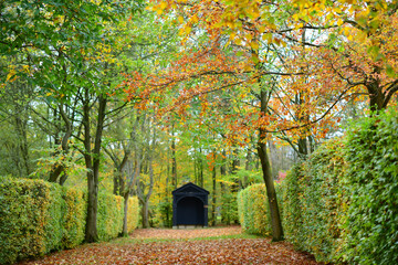 Wall Mural - beautiful shot of a autumn park nature