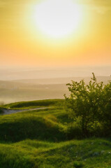 Canvas Print - Fairy sunset creating a golding light over the green hills