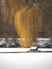 Canvas Print - Vertical shot of a hut with a snowy roof under the willow in winter