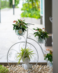 Wall Mural - Vertical shot of the decorative white bicycle with flowers in baskets, standing on the pebbles