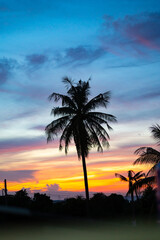 Sticker - Vertical shot of a palm tree silhouette with the background of the colorful sky in the sunset