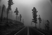 Grayscale Shot Of A Highway Surrounded By Trees