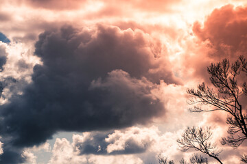 Wall Mural - cloudy dark sky during the daytime