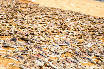 Sticker - Closeup shot of dead fish on the sand o the beach