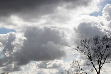 Poster - Cloudy dark sky during the daytime