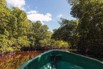 Wall Mural - Ship trip in mangrove on a sunny day