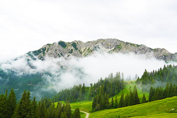 Sticker - Mountains from the Breitenberg near Pfronten. Nature in the Allgau, Bavaria.