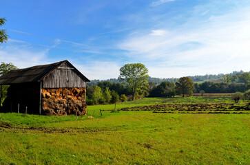 Wall Mural - Old wooden barn with hay under a blue cloudy sky on a sunny day