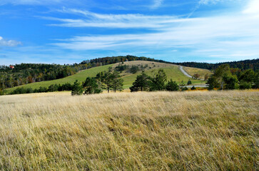 Sticker - Landscape view of a grassy field under a blue cloudy sky on a sunny day