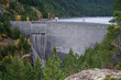 Ross Dam surrounded by a forest in the daylight in Washington