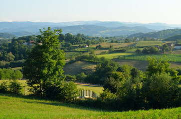 Sticker - Green beautiful landscape on a sunny day.