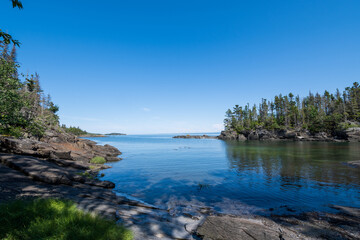 Poster - Beautiful landscape with lake, trees and plants against a blue sky on a sunny day