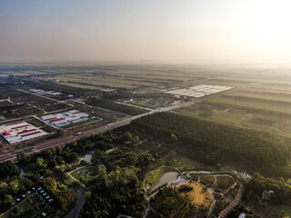 Wall Mural - aerial shot of a forest on a sunny day