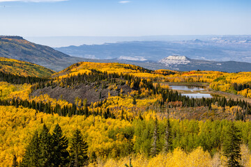 Poster - Beautiful autumn landscape with yellow trees and hills in Grand Junction, Grand Mesa