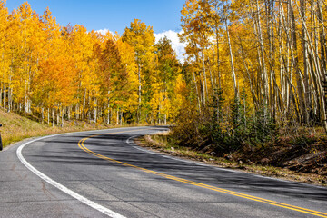 Poster - Beautiful autumn landscape with yellow trees and hills in Grand Junction, Grand Mesa