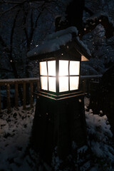 Sticker - Vertical shot of a beautiful street lamp covered with snow at night