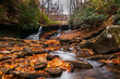 Beautiful shot of the Little Stoney Falls in the fall in Virginia