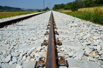 Poster - Railroad tracks taking to the horizon.