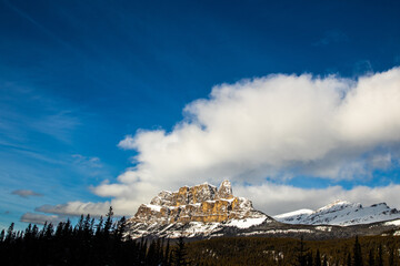 Poster - Tranquil scenery of a majestic snowy mountain in the woods in daylight