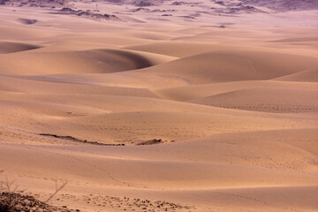 Poster - Golden sand in the desert