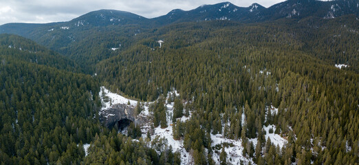 Sticker - Aerial shot of a forest partially covered in snow in winter