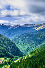 Canvas Print - Vertical shot of the fascinating Fagaras mountains covered in green pine forests, Romania