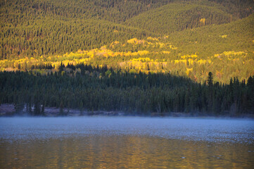 Poster - Beautiful scene of Aspen yellow fields reflecting on water in the santa fe national forest