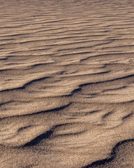 Poster - High-angle shot of a sandy and deserted ground texture background