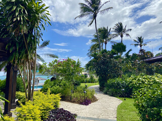 Poster - Tropical garden covered in greenery with the sea under the sunlight in the background