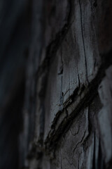 Poster - Vertical shot of an old, damaged wooden wall texture