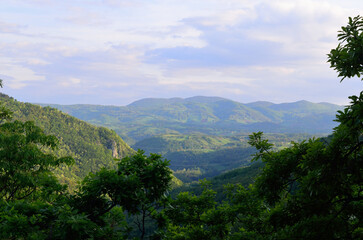 Sticker - Beautiful view of lush trees on the mountainside under a cloudy sky