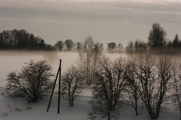 Sticker - Misty sky over a snowy field with bare trees