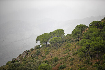Wall Mural - Cloudy atmosphere over the hills close to Napoli, Italy