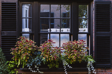 Sticker - Big planters with various plants outdoors