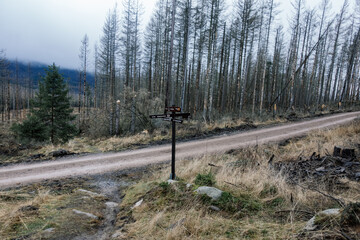 Sticker - View of Harz mountain hike trail in Ilsenburg Germany in the autumn